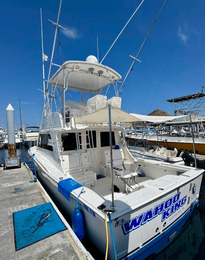 Cabo flybridge fishing charter in Los Cabos